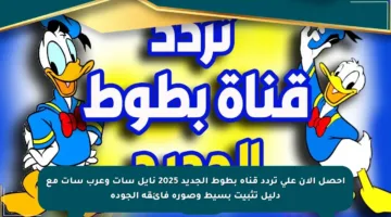 احصل الآن على تردد قناة بطوط الجديد 2025 نايل سات وعرب سات مع دليل تثبيت بسيط وصورة فائقة الجودة
